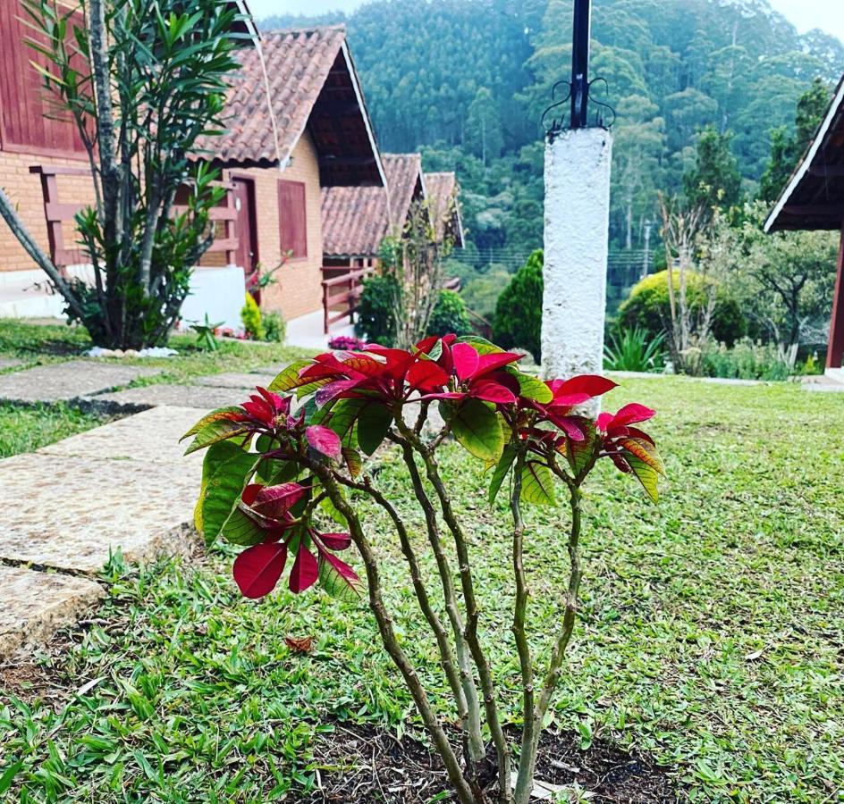 Chales Encantus Villa Monte Verde  Ngoại thất bức ảnh